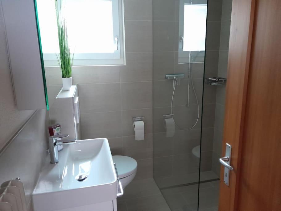 2 1/2 Zimmer Ferienwohnung Meiringen Ngoại thất bức ảnh